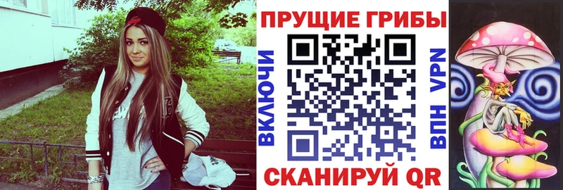 Купить  Рудня  Галлюциногенные грибы GOLDEN TEACHER 